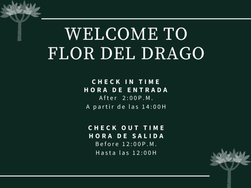 شقة Flor Del Drago إيكود ذي لوس فينوس المظهر الخارجي الصورة